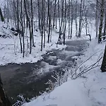 Domek alpejski Nad Potokiem Z Alpakami *