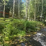 Nad Potokiem Z Alpakami *