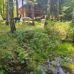 Nad Potokiem Z Alpakami Domek alpejski Stronie Śląskie