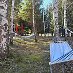 Nad Potokiem Z Alpakami Stronie Śląskie