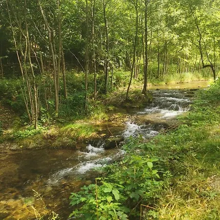Nad Potokiem Z Alpakami Stronie Śląskie