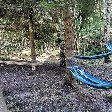 木屋 Nad Potokiem Z Alpakami Stronie Śląskie