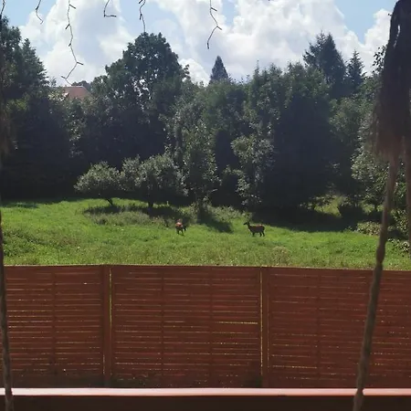 Nad Potokiem Z Alpakami *