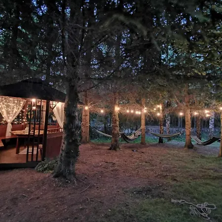 Nad Potokiem Z Alpakami Stronie Śląskie