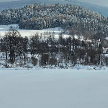 Nad Potokiem Z Alpakami Stronie Śląskie