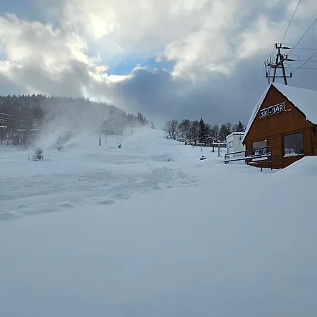 Nad Potokiem Z Alpakami 木屋