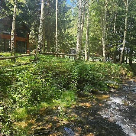 Nad Potokiem Z Alpakami *