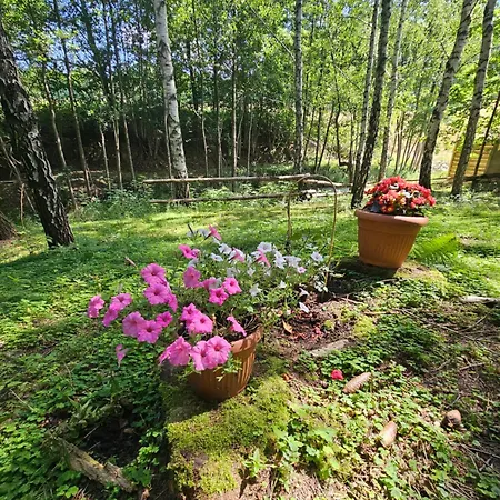 木屋 Nad Potokiem Z Alpakami *
