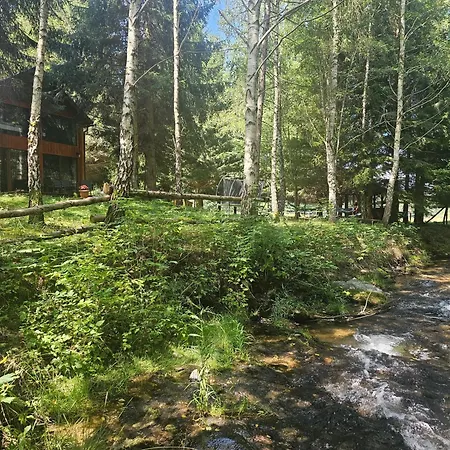 Nad Potokiem Z Alpakami 木屋 Stronie Śląskie