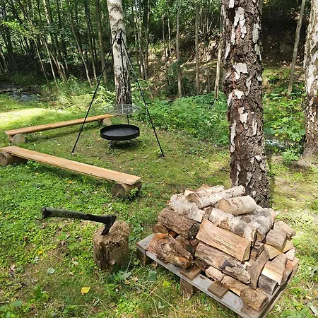 Nad Potokiem Z Alpakami Stronie Slaskie