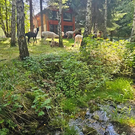 Nad Potokiem Z Alpakami Chalet Stronie Slaskie