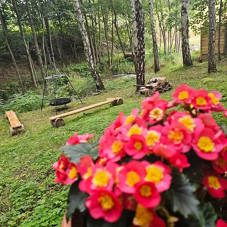 Nad Potokiem Z Alpakami *