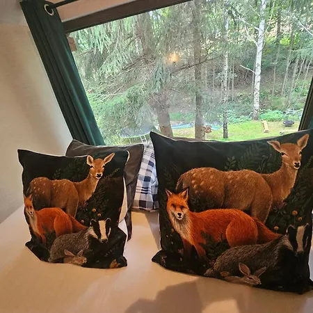 Nad Potokiem Z Alpakami * Stronie Śląskie