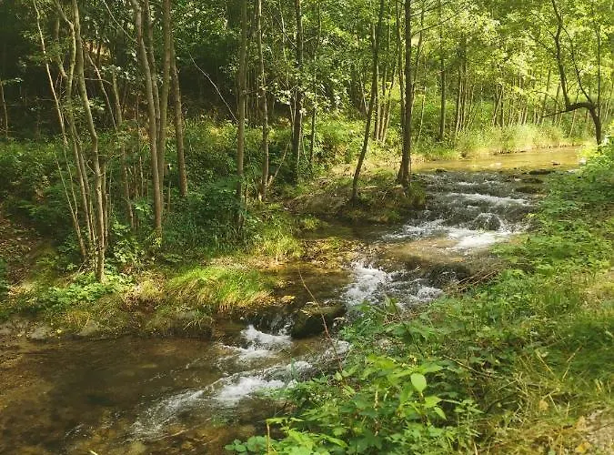 Nad Potokiem Z Alpakami Stronie Śląskie