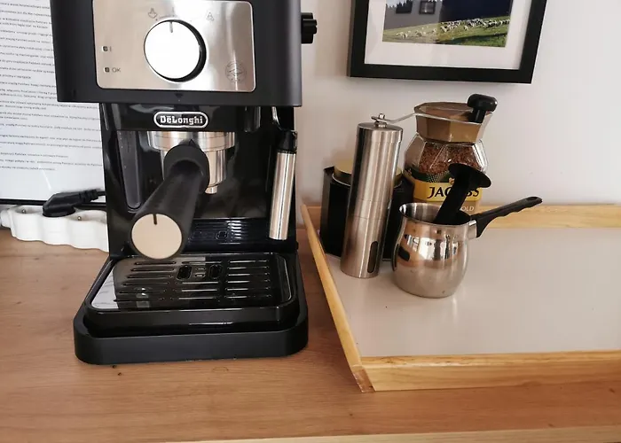 Nad Potokiem Z Alpakami Stronie Śląskie