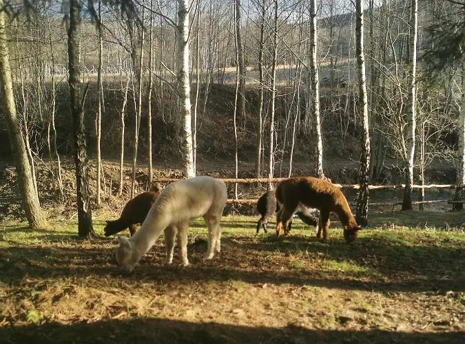 Chalé Nad Potokiem Z Alpakami *