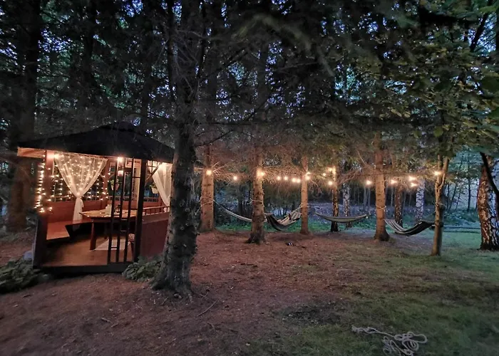 Nad Potokiem Z Alpakami Stronie Śląskie