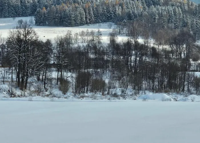 Nad Potokiem Z Alpakami Stronie Śląskie