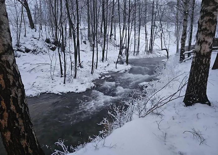Chalé Nad Potokiem Z Alpakami *