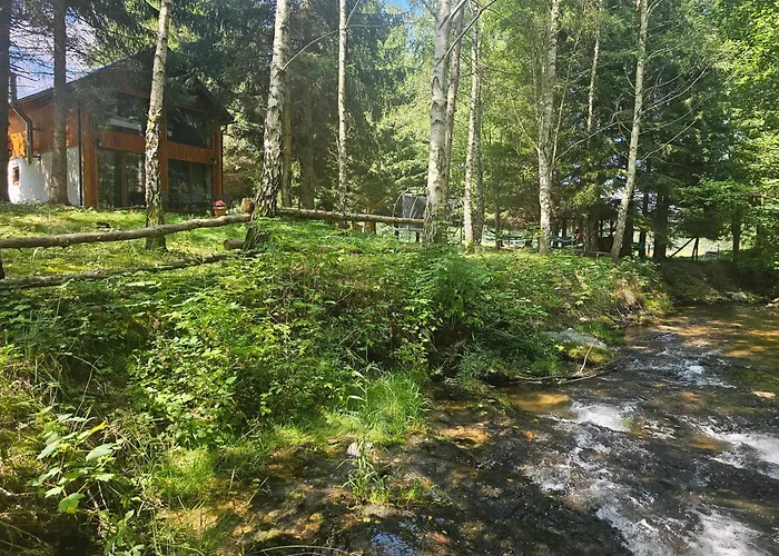 Nad Potokiem Z Alpakami *