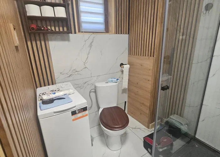 Nad Potokiem Z Alpakami *