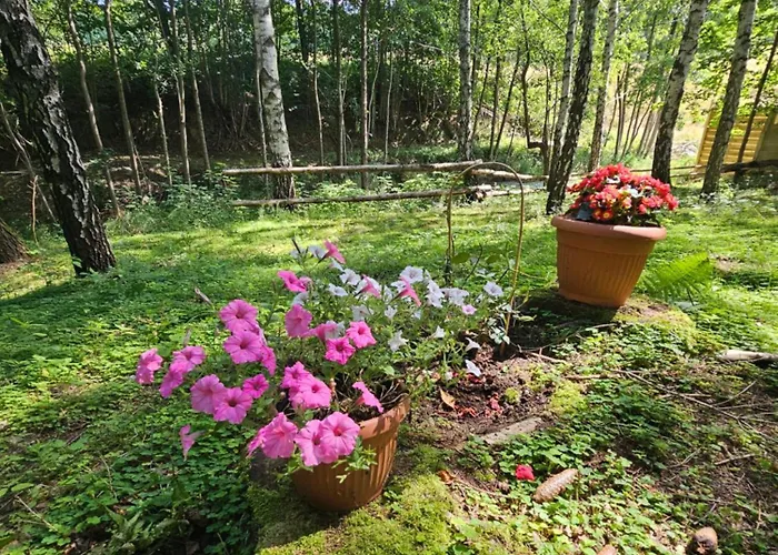 Chalé Nad Potokiem Z Alpakami *