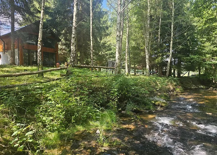 Nad Potokiem Z Alpakami Chalé Stronie Śląskie