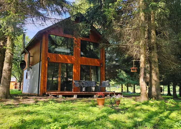 Nad Potokiem Z Alpakami *