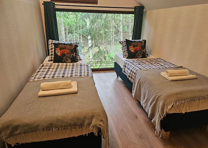 Nad Potokiem Z Alpakami