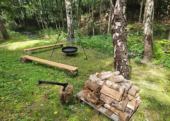 Nad Potokiem Z Alpakami Stronie Śląskie