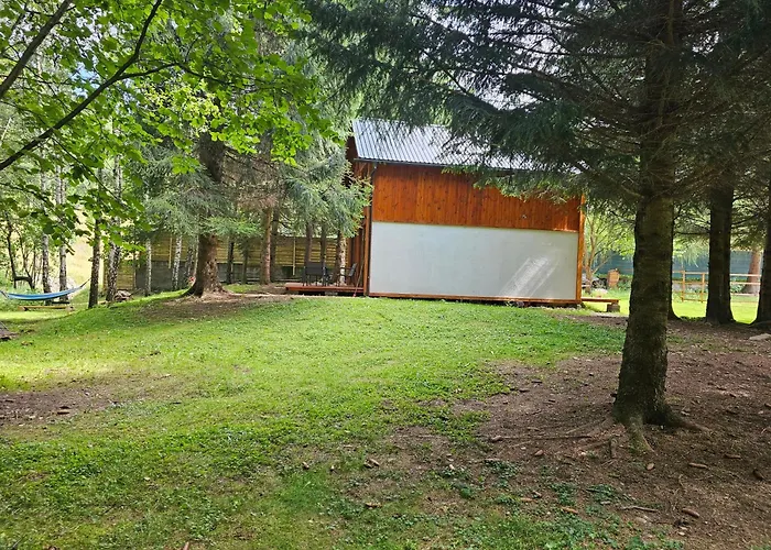 Nad Potokiem Z Alpakami