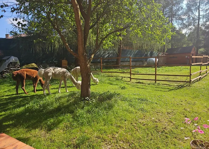 Dağ evi Nad Potokiem Z Alpakami Stronie Śląskie