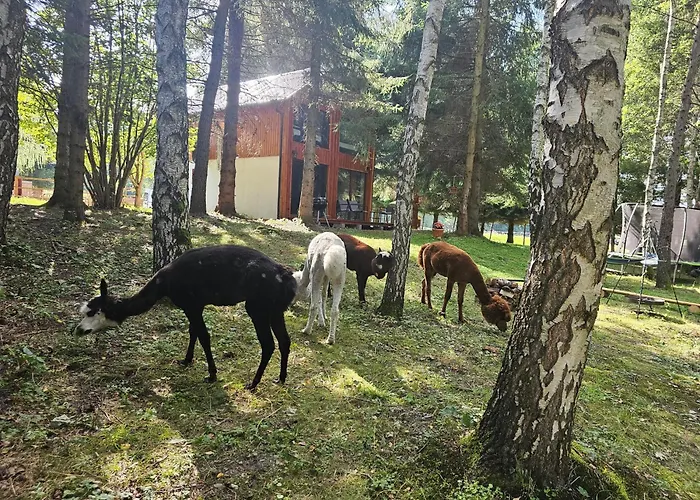 Chalé Nad Potokiem Z Alpakami *