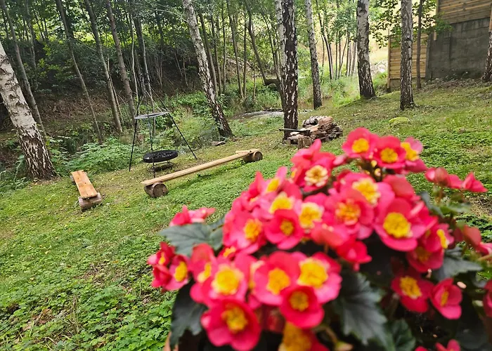 Nad Potokiem Z Alpakami *