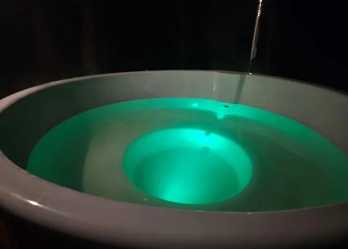 Nad Potokiem Z Alpakami *