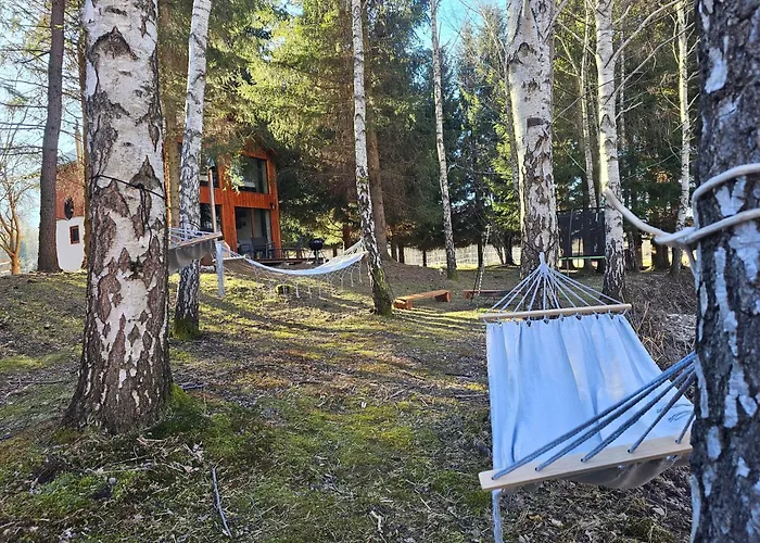 Nad Potokiem Z Alpakami Stronie Śląskie